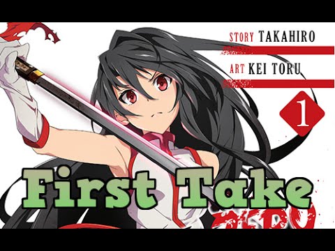 Akame Ga Kill Zero