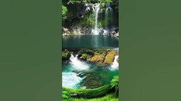 Natural Beauty sound and Relaxes short video mp4……..