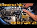 '04 Terminator Mustang Coolant Leak