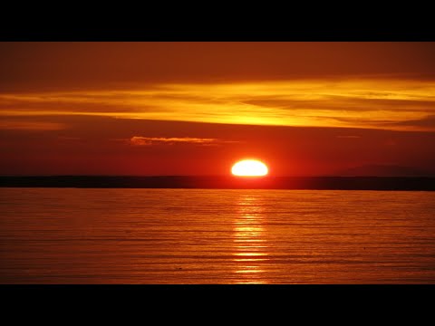 epifanic---sunset-(official-video)