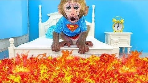 Monkey Baby Bon Bon Bathing In The Bathroom With Eating Ice Cream With Puppy Side Swimming Pool