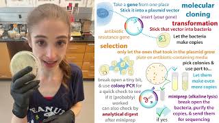 Your LB/agar plate has colonies. Yay! Now what?