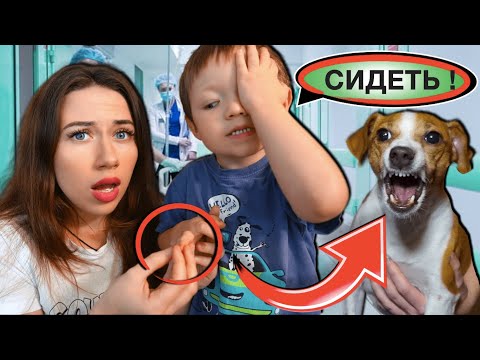 Видео: УКУСИЛА ВО ВРЕМЯ ПЕРВОЙ ДРЕССИРОВКИ - Собака Джина и Спарти | Elli Di Pets