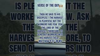 Daily Read📖 #jesus #bible #reading #god #study