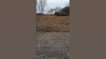 Losi DBXL-E 2.0 First bash