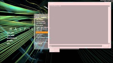 Half-Life 2 Speedrun Tutorial - Settings
