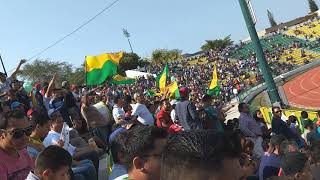 Loros Campeón De La Segunda División 2018