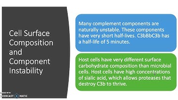 Regulation of the Complement System