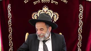 תשעה באב הרב יהודה נקי שליט"א