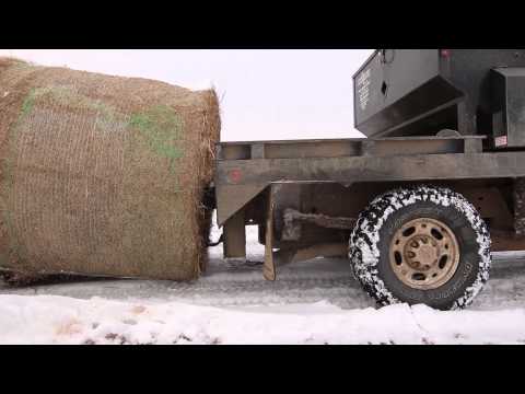 Video: Får Oklahoma snø?