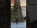 Ser Rich Walks - Union station Xmas #chicago #unionstation #serrich