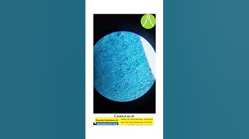 stomata in microscope (hand