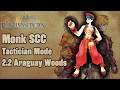 FFT SCC Monk: 2.2 - Araguay Woods