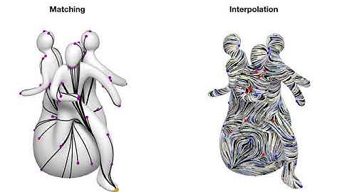 Optimal Transport-Based Polar Interpolation of Directional Fields