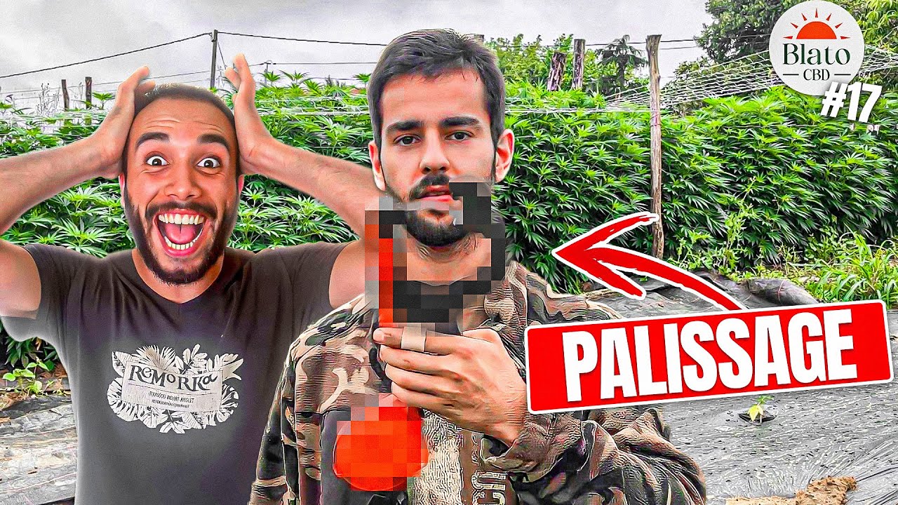 ON MET UN FILET POUR RETENIR LE CHANVRE - #16