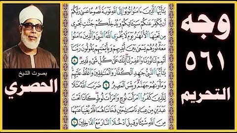 صفحة561سورة التحريم بصوت الحصري- يا أيها الذين آمنوا توبوا إلى الله توبة نصوحا عسى ربكم أن يكفر عنكم