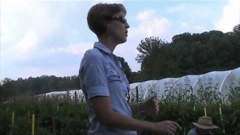 Using Biochar, Abingdon Biochar Part 4