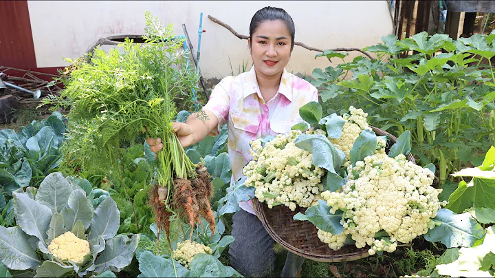 Pregnancy mom harvest cauliflower from vegetable garden for cooking - Cooking with Sreypov - DayDayNews