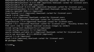 Java Could Not Find or Load Main Class - Fixed
