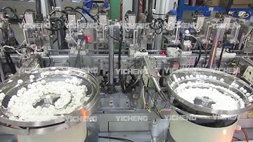 Motor Automatic Assembly Machine for Europea Market