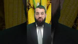 האם מותר לאכול תירס ללא פיקוח מתולעים | הרב אושרי אזולאי