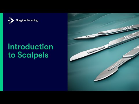 Introduction to Scalpels | What You Need to know to Safely Use this Essential