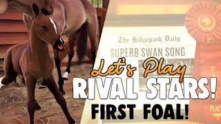 First Foal | Lets Play | Rival Stars Horse Racing 🐴