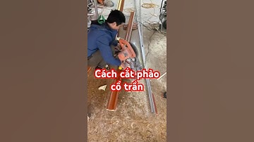 Cách cắt phào cổ trần #shortsviral