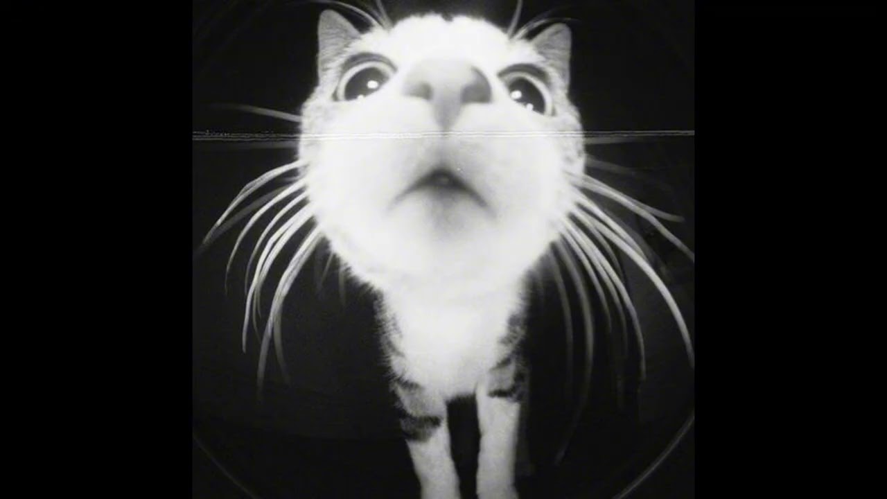 [free for profit] swapa x zukenee type beat 'slaydat'