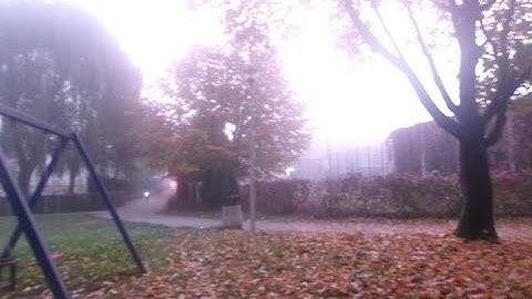 it felt like home... // ambient nostalgiacore, dreamcore, weirdcore playlist to relax/focus
