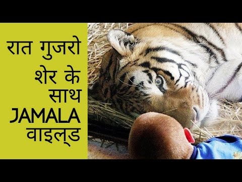 वीडियो: आत्मा भालू को छूने की गिरने वाली क्रिया क्या है?