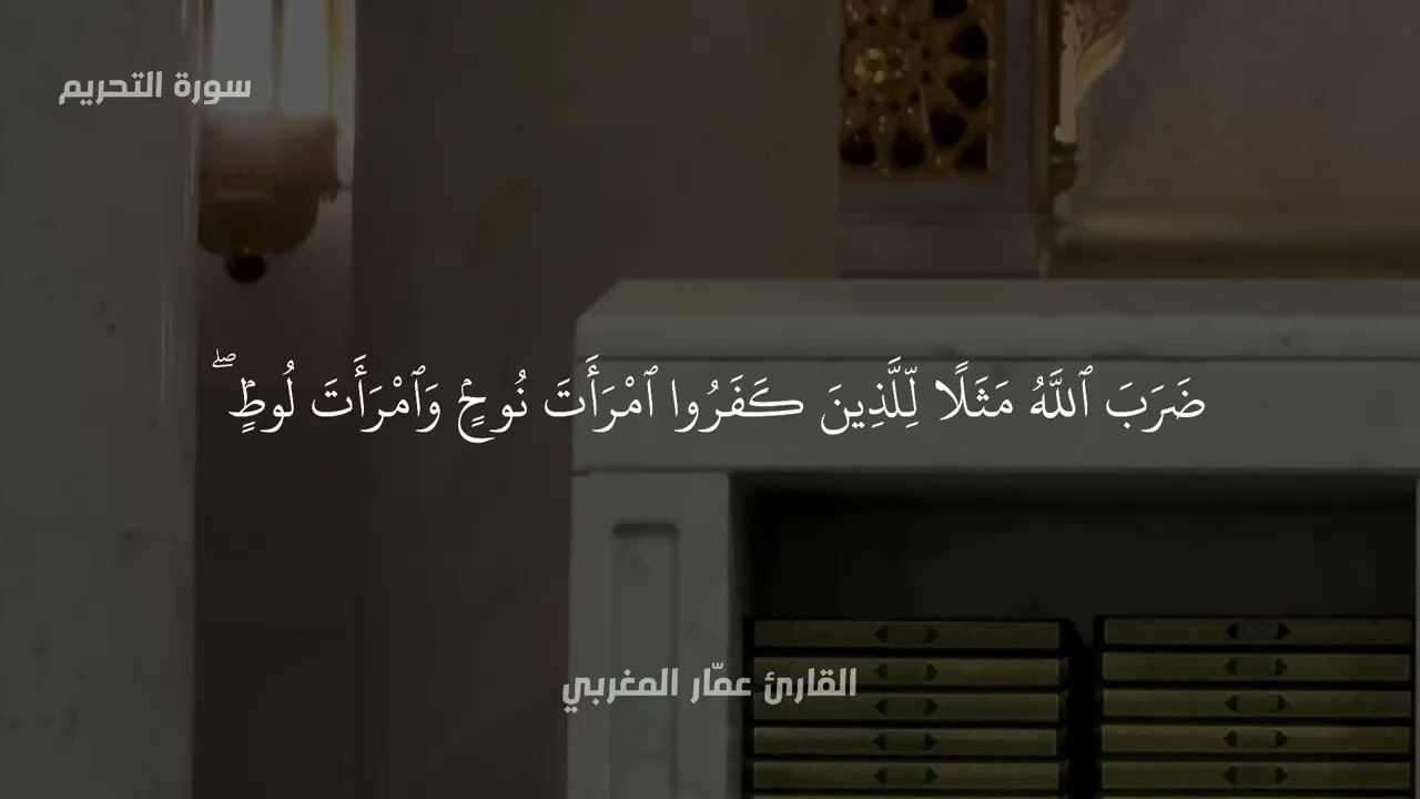 تلاوة ليبية للقارئ عمّار المغربي 🇱🇾 | سورة التحريم