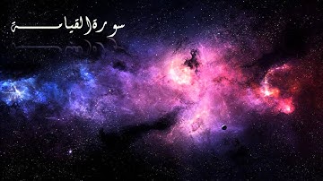 سور القيامة - تلاوة خاشعة - ياسر الفيلكاوي