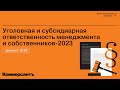 Уголовная и субсидиарная ответственность менеджмента и собственников-2023