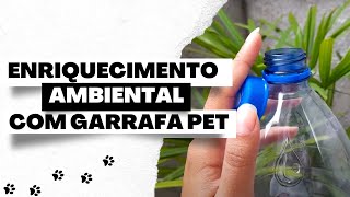 Enriquecimento Ambiental com Garrafa Pet  Cachorro | DIY