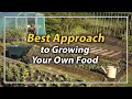 Comment commencer  cultiver votre propre nourriture  sur quoi se concentrer en premier