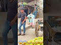 Tyt Shortvideo Viral Video Funny Comedy Sanke Prank Reaction 