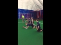 Receiver drills diving catches  svs sports