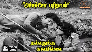 Achchacho Parithabam - Nallathukku Kalamillai | P Susheela | Vaali | Shankar Ganesh | 4K Video Song