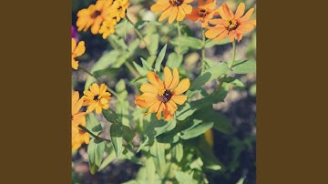 Groovy Backdrops for Spa Hours