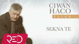 Ciwan Haco - Sekna Te [Official Audio]