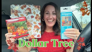 DOLLAR TREE HAUL | All The Fall Vibes 🍂🎃🍁 and Incredible NEW Items! 