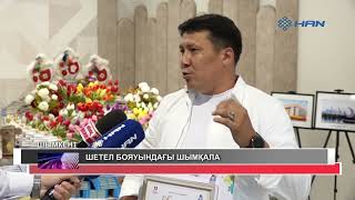 «Шымкент-қызғалдақтар қаласы” халықаралық суретшілер симпозиумы