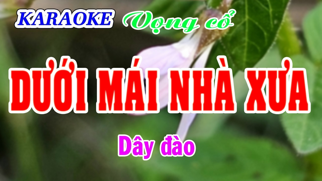 Karaoke _  Dưới Mái Nhà Xưa _  Dây Đào