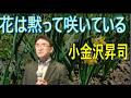 花は黙って咲いている/小金沢昇司 cover by ラブえだ