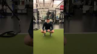 Multi-Joint Hip PAIL/RAIL