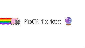 PicoCTF - Nice Netcat Walkthrough