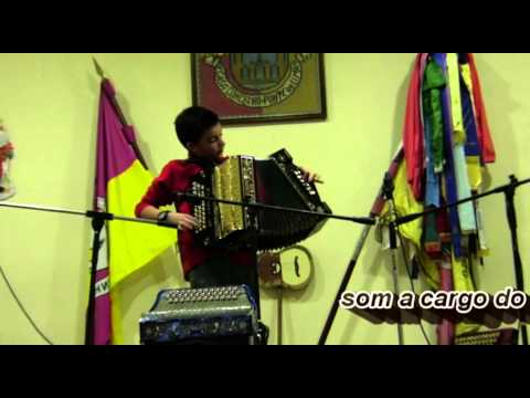 Concertinas - Casa do Concelho de Ponte de Lima - ...