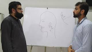 Skill Station: Parotid & Submandibular gland Incisions