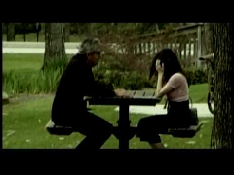 Culpable - Negami